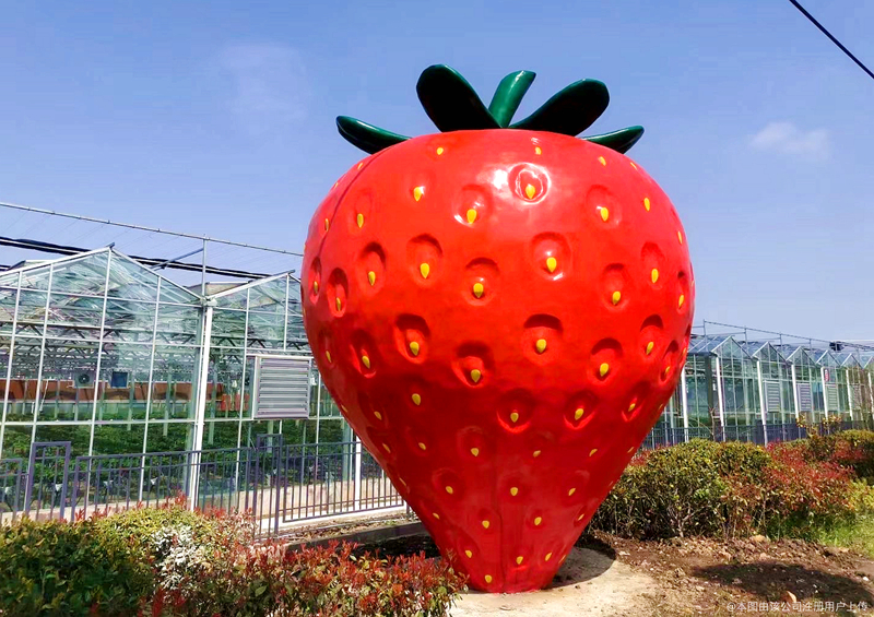 嘉兴佳莓农业科技有限公司